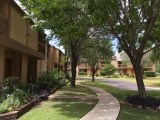 Apartment Homes and Courtyard